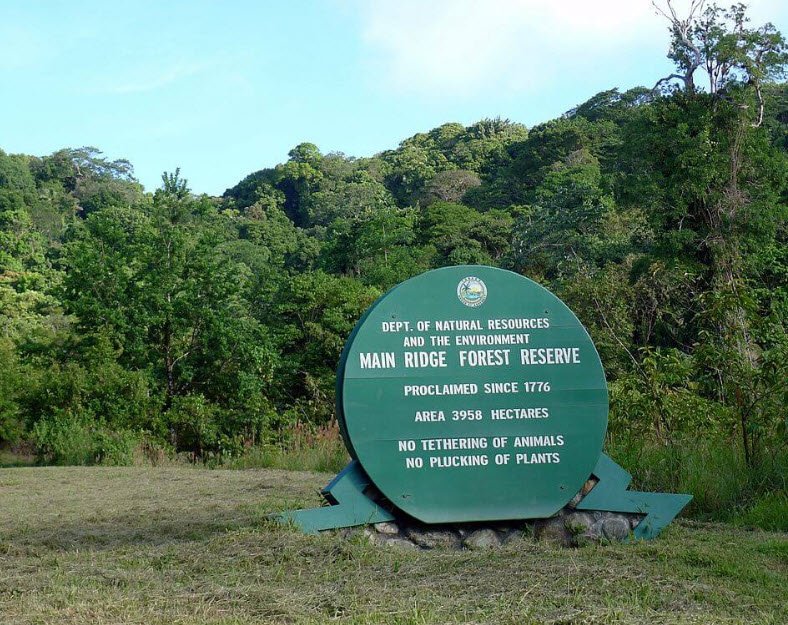 Main Ridge Forest Reserve, Tobago, Trinidad and Tobago